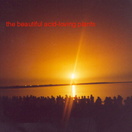 Stream 1810 Sound | Listen to The Beautiful Acid-Loving Plants playlist ...