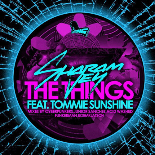 Sharam Jey feat. Tommie Sunshine - The Things  (Cyberpunkers Remix)
