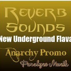 Nuttin But Flavor feat Focuz Shot @ 3 & Marvelous Mega