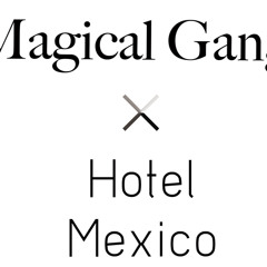 Hotel Mexico - Its Twinkle(Magical Gang remix)