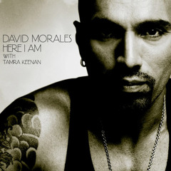 Here I Am (Kaskade remix)