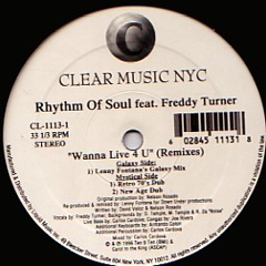I Wanna Life For You  Rhythm of Soul feat. Freddy Turner