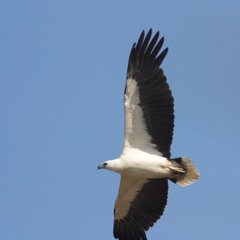 Entrance To Lake Corunna SE. Australia 2010