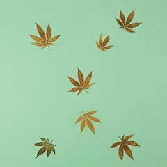 Untitled - hype williams