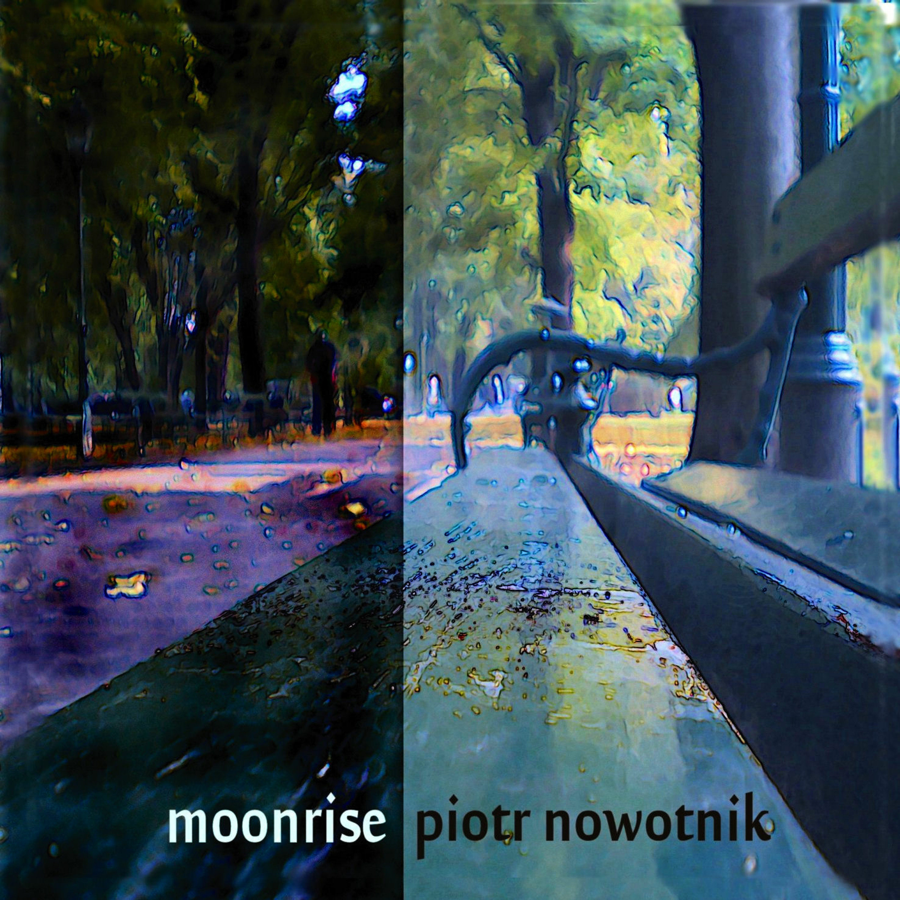 Piotr Nowotnik