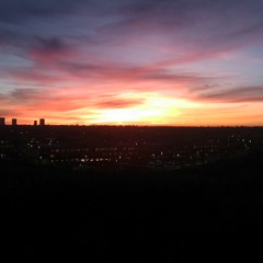 Love From A Distance