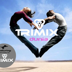 TRIMIX - iD - Demo Edit Oct 2010