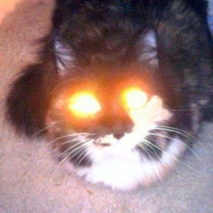 Burnt Fur - Cats - Sao Paulo Remix