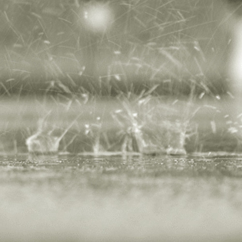 Maggie Reilly - Tears In The Rain