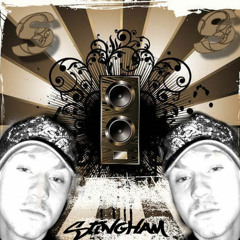 Stingham- alright jackin electro mix