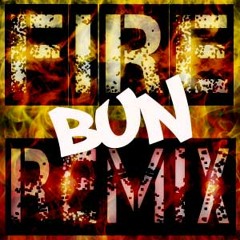 FUTURE PROPHECIES, ERB DUB & NAVIGATOR - Fire Bun (DJ PANIK Remix) (Bad Monkey Records #05)