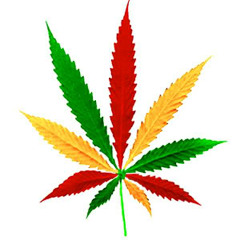 Rusko and Anthony B-smoke trees everyday ( Irieyes remix)