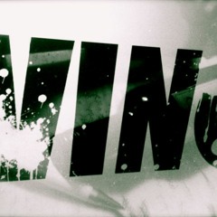 VAD TRODDE DU ALBUM SNIPPET (2010)