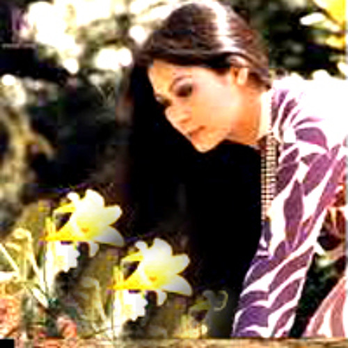 Nguoi tho san va dan chim nho