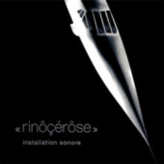Rinôçérôse – Le Triangle (5:22) Album Installation Sonore @rinocerose