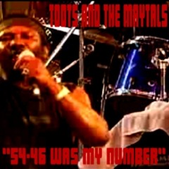 The Milk - 54/46 (melc Remix)