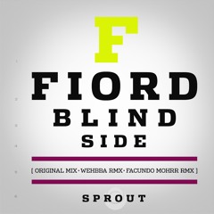 Fiord - Blind Side  (Wehbba Remix) (Clip)