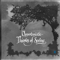 A Forest of Stars - Raven's Eye View