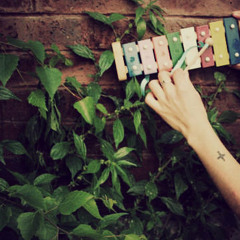 Old Times Souvenirs.
