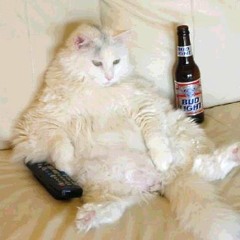 los picantes - guaracha del curao