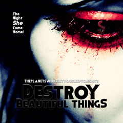TPWLYST - Destroy Beautiful Things (Silver Strain Remix)