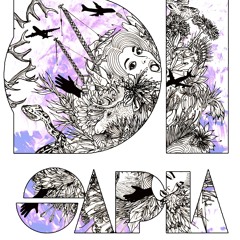 they mostly hunt at night