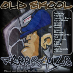 ThePhlexican - Old Skool Freestyle Megamix