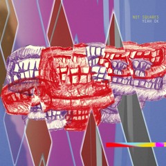 Not Squares - Asylum