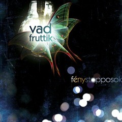 Vad Fruttik - Diszkós