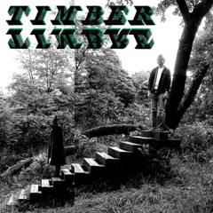 Timber Timbre - Lay Down In the Tall Grass