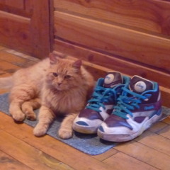 Baby`s Homemade Sextape