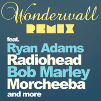 Inspired Flight - Wonderwall Remix