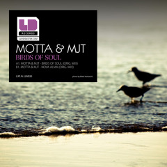 Motta & MJT - Birds of soul
