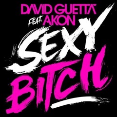 David Guetta v. Jason Derulo - Sexy Bitch v. In My Head (Stereowestern Mashup)