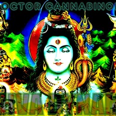 VA-Shiva Dynamo-2010-Mixed By Dj Doctor Cannabinoid