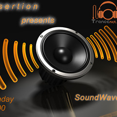 Insertion - SoundWaves 049 (Aired 24.05.2010)