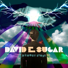 David E. Sugar - Flea Market