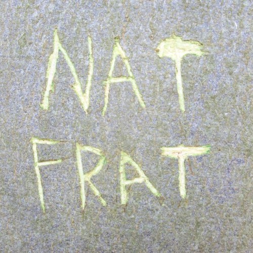 Natural Fraternity - Dub Step