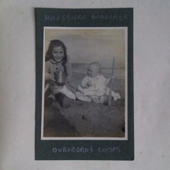 Ouroboros Loops (Excerpt)