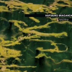 Electroacoustic/Collage/Drone