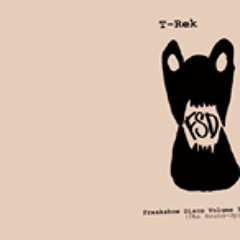 T-Rek - Drug Punk Lady