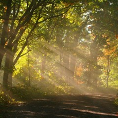 HD4000 - Let It Shine