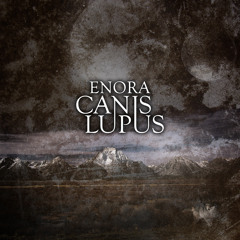 Where Have You Been?