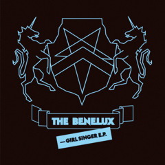 THE BENELUX - Pet Needs Friends (BEAR remix)