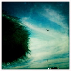 F22 raptor-passby-fast 3