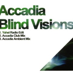 Accadia - Blind Visions (Neptune Project Third Eye Remix) By AyhaM VaN BuureN