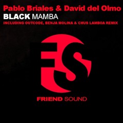 Pablo Briales & David del Olmo-Black Mamba