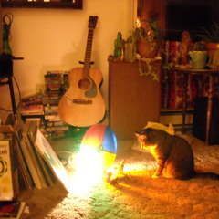 kitty sorrow (i - 2010 burger records)