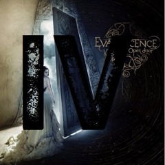 Lithium Dubstep Remix (The Fourth vs Evanescence)