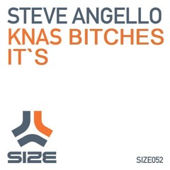 Steve Angello ft. Nicky Romero - It`s Knas Bitches (Sebastian Molin Bootleg)